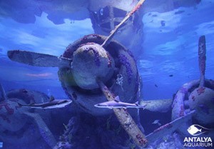 Antalya Aquarium Etkinlikleri