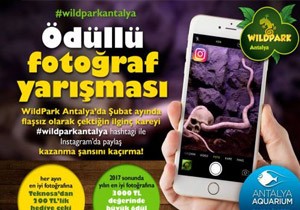 Antalya da WildPark dll Fotoraf Yarmas