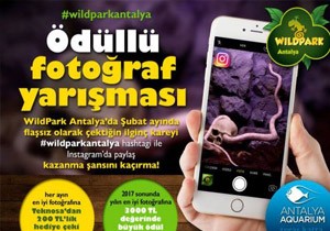 WildPark dll Fotoraf Yarmas Antalya da