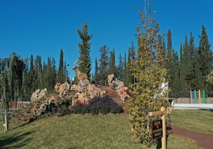 Kepez'de Botanik Park’ta doğa ve sanat iç içe oluyor