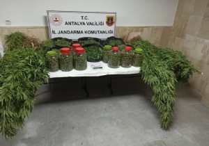 Korkuteli'de Uyuturucu Operasyonu